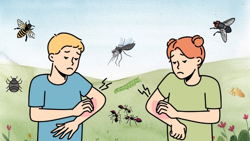 Các loại côn trùng gây bệnh nguy hiểm trong nhà
